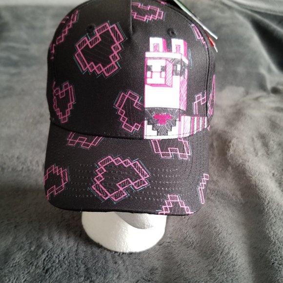 Minecraft Llama Cap - Picture 1 of 8